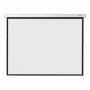 Electric Screens
