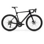 Scultura 8000 Disc 2025 - XL