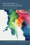 Nietzsche And Phenomenology - Power Life Subjectivity Paperback