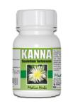 Sceletium Tortuosum Kanna 120 Capsules 100MG 2 X 60'S