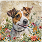 Stretched Canvas Jack Russell