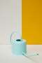 Classic Indoor Watering Can - Mint