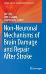 Non-neuronal Mechanisms Of Brain Damage And Repair After Stroke 2016 Hardcover 1st Ed. 2016