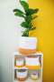 Crochet Pot Socks - 15CM / White And Yellow