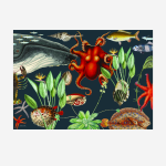 Paper Placemats - Atlantic Ocean