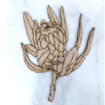 Wood Protea Open