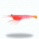 Nomad Live Ops Switcher Shrimp 5 - Pink Swagger - Basil Manning