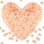 Pyrrhiax 1000PIECES Rose Petals Artificial Flower Petals Fake Rose Petals For Romantic Night Wedding Proposal Anniversary Flower