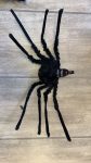 Spiderman Deco