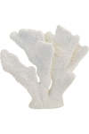 XL Standing Coral