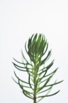 Transparency Art Print - Matte Fine Art Print No Frame A2