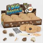 12PC Junior Dig Kit Fossils