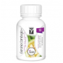Garcinia Cambogia 60% Hca Extract 90S