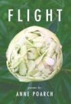 Flight - Of Butterflies And Robins And Other Winged Dreams Hardcover