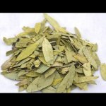 Senna Leaves 1KG