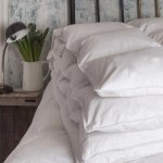 Duck Feather & Down Duvet Inner In A 100% Cotton Casing