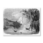 Antique Etching 8 Art Print - A3
