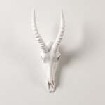 Blesbok Wall Skull - Gloss White