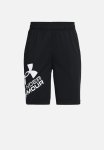 Under Armour Ua Prototype 2.0 Logo Shorts - Black White