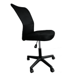 Campus Student Chair