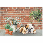 Deco Print English Bull And Plants