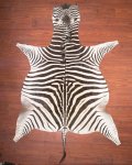 Aa Grade Zebra Hide 015 L
