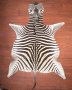 Aa Grade Zebra Hide 015 L