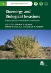 Bioenergy And Biological Invasion - Ecological Agronomic And Policy Perspectives On Minimizing Risk Hardcover