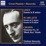 Great Pianists: Horowitz Cd