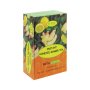 Eve Instant Honeyed Ginger Tea With Lemon 10 Sachets