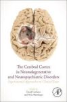 The Cerebral Cortex In Neurodegenerative And Neuropsychiatric Disorders - Experimental Approaches To Clinical Issues Paperback