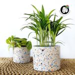 Terrazzo Pot - Dune - 13CM Inner Diameter