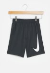 Nike Nkb Perf Swoosh Shorts - Anthracite