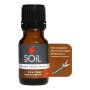 Aromatherapy Oil 10ML Tea Tree