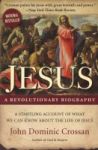 Jesus: A Revolutionary Biography Paperback