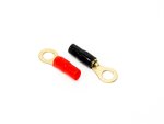 Targa 8GA Gold Ring Terminal Each - Autostyle Motorsport South Africa
