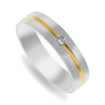 Stainless Steel Two-tone Mens Ring