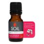 Aromatherapy Oil 10ML Rose Geranium