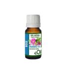 Rose Natural Fragrance Oil - 10 Ml