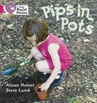 Pips In Pots: Pink B band 01b
