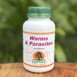 Worms & Parasites 120 Capsules Willow