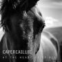 At The Heart Of It All   Cd