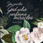 Printed Blanket Psalm 77