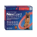 Spectra Nexgard Extra Large Dogs 30.1KG-60KG