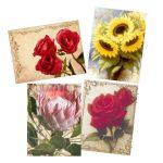Decoupage Tear Resistant Transfers - Floral