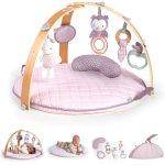 Ingenuity Cozy Spot Activity Gym- Calla