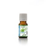 Mint Natural FRAGRANCE Oil - 10 Ml