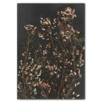 Night Garden 3 Art Print - A2 No Frame Print Only