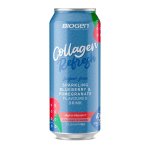 Biogen Collagen Refreshed Ready To Drink 300ML - Berries