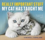 Really Important Stuff My Cat Has Taught Me Paperback